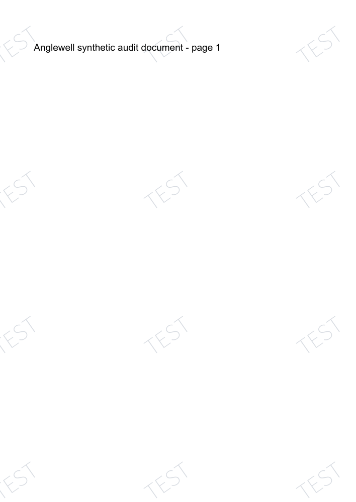 实际水印PDF第一页的渲染结果：英文合成测试标记保留，页面新增浅色斜向TEST水印